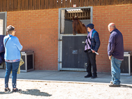 EL260422-75 - Emma Lavelle Stable Visit